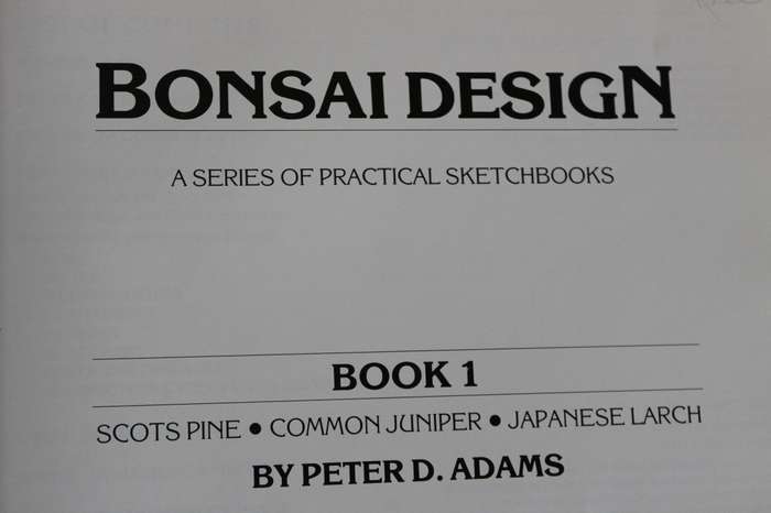BONSAI DESIGN  by Peter Adams (Scots Pine, Common Juniper and Japanese Larch)