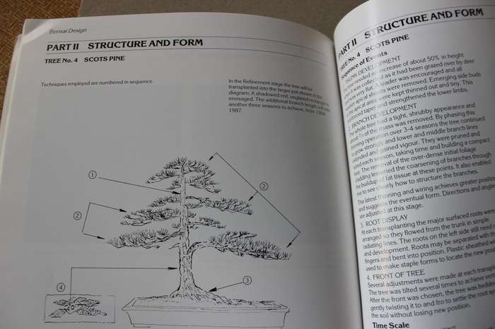 BONSAI DESIGN  by Peter Adams (Scots Pine, Common Juniper and Japanese Larch)