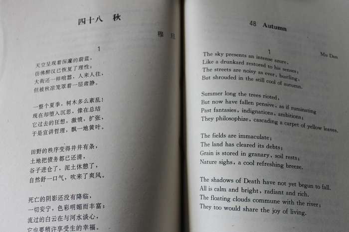 100 MODERN CHINESE POEMS Dual-text Chinese/English by Pang Bingjun/John Mitford/Sean Golden