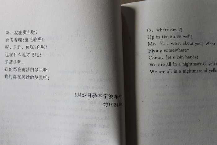 100 MODERN CHINESE POEMS Dual-text Chinese/English by Pang Bingjun/John Mitford/Sean Golden