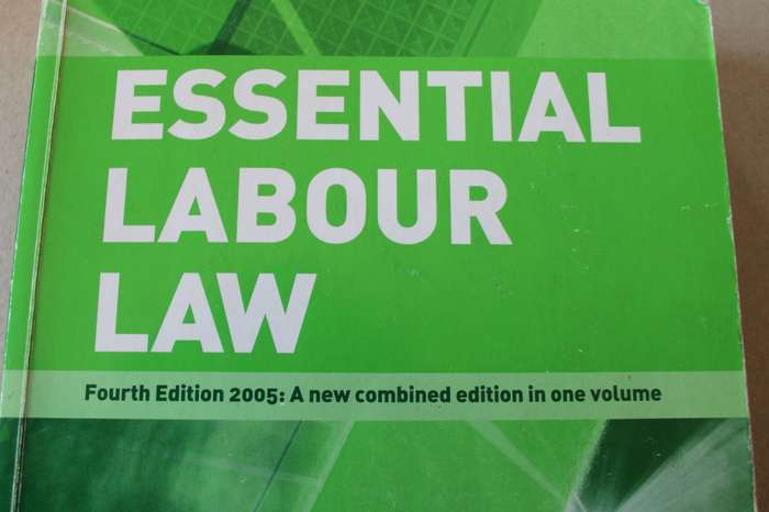 ESSENTIAL LABOUR LAW  by A C Basson, M A Christianson, C Garbers, P A K le Roux and others