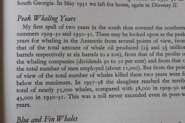 LOST LEVIATHAN  Whales and Whaling by S.D. Ommanney