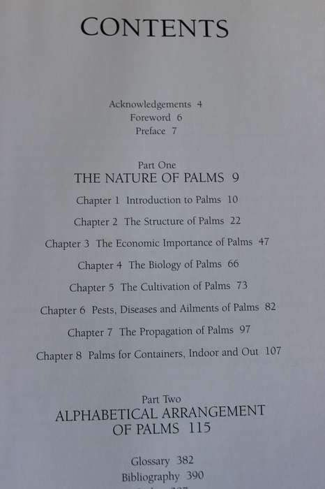 PALMS THROUGHOUT THE WORLD  by David L. Jones