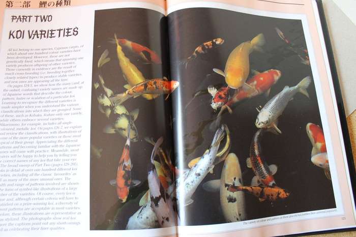 THE PRACTICAL ENCYCLOPEDIA OF KOI  Edited by Anne McDowell