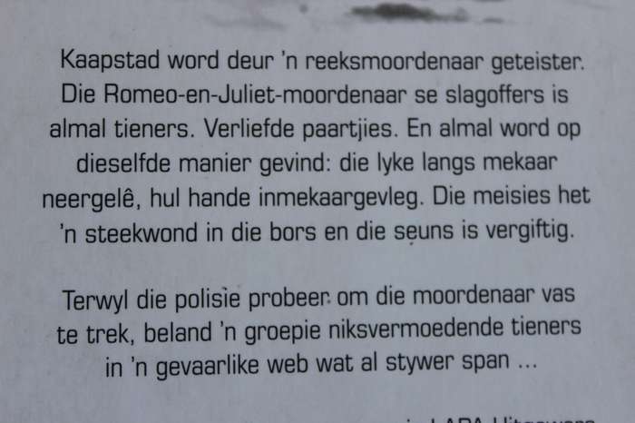 PERMANENTE INK  deur Carina Diedericks-Hugo  (GETEKEN)