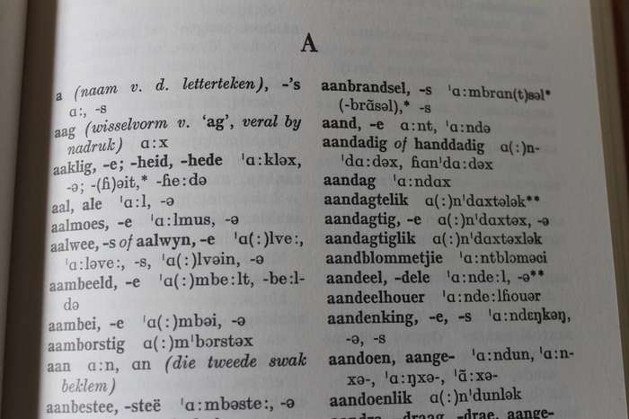 UITSPRAAKWOORDEBOEK VAN AFRIKAANS  deur T. H. Le Roux & P De V Pienaar Vyfde Druk 1967