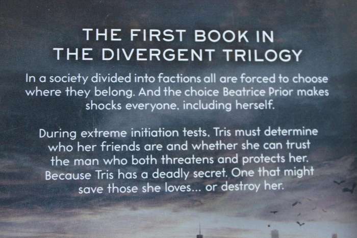 DIVERGENT  by Veronica Roth  (The first book in The Divergent Trilogy)
