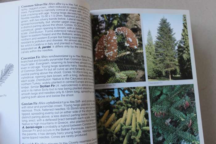 PHOTOGRAPHIC FIELD GUIDE: TREES OF BRITAIN AND EUROPE. by Bob Press and David Hosking