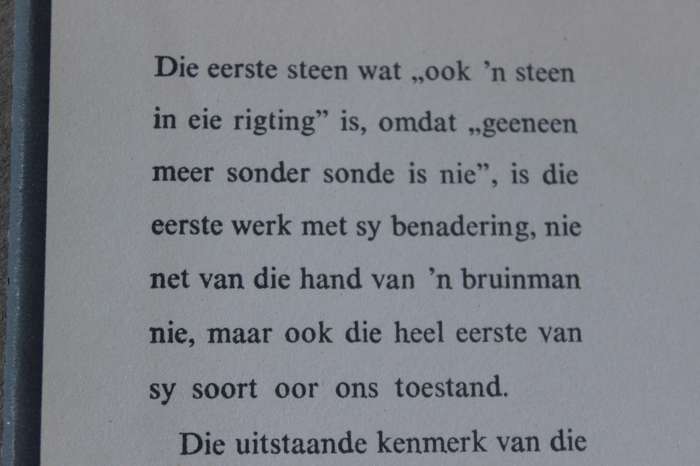 DIE EERSTE STEEN  deur Adam Small