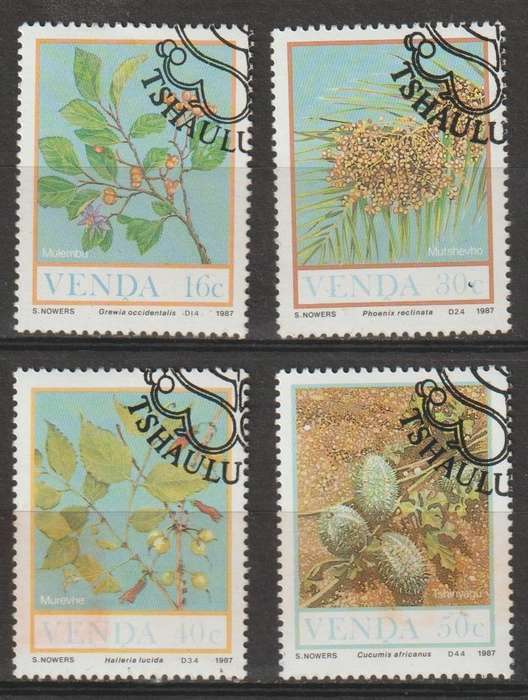 Venda CTO Field Fruits 1987 CV R55+