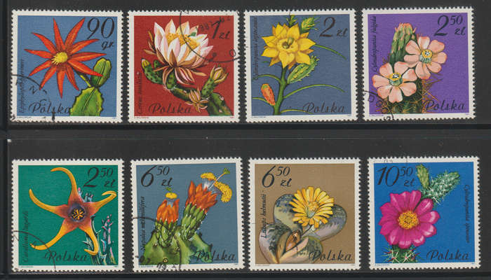 Poland Succulent Flowers 1981 (Fine Used)