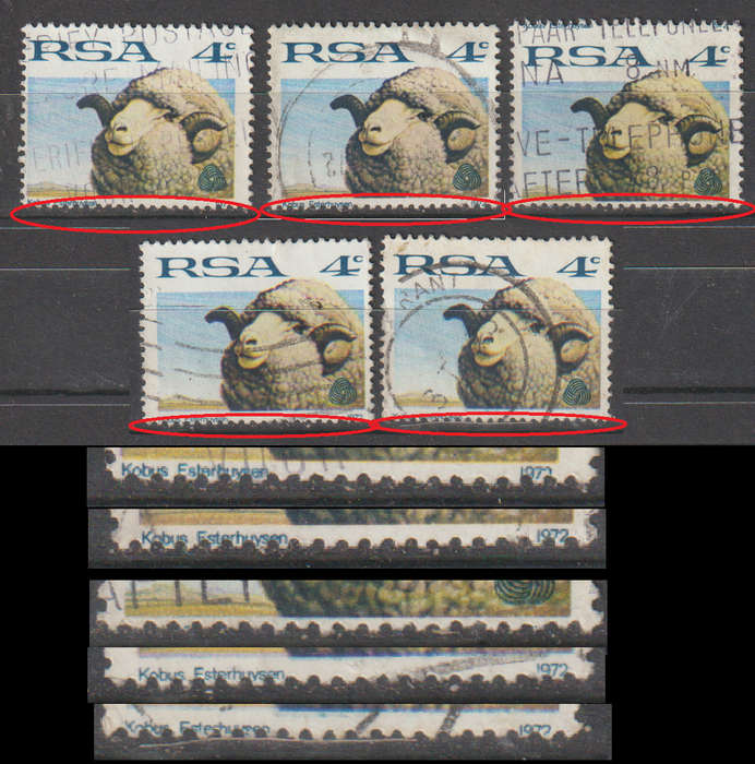ERROR South Africa Sheep and Wool Industry 1972