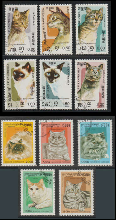 Cambodia Cats