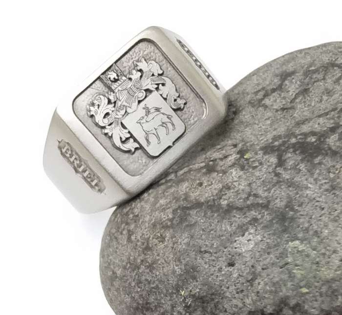 Stainless Steel Custom Engraved Family Crest Rings