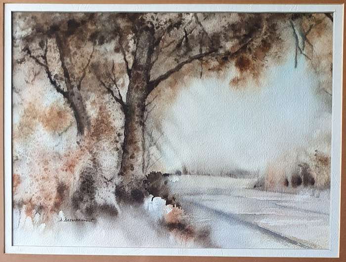 Original framed watercolour  painting by D. BEZUIDENHOUT as per photos