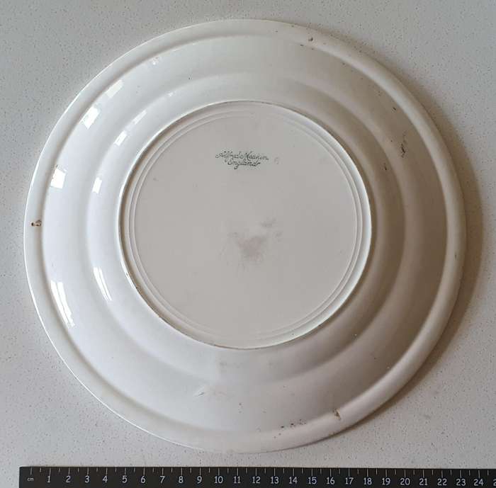 Alfred Meakin plate - Grand Hotel Ladybrand as per photos