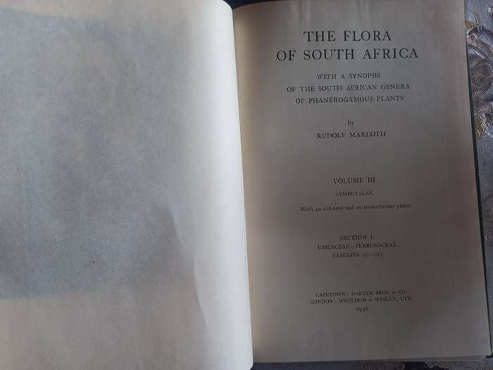 The Flora of South Africa (Rudolf Marloth)