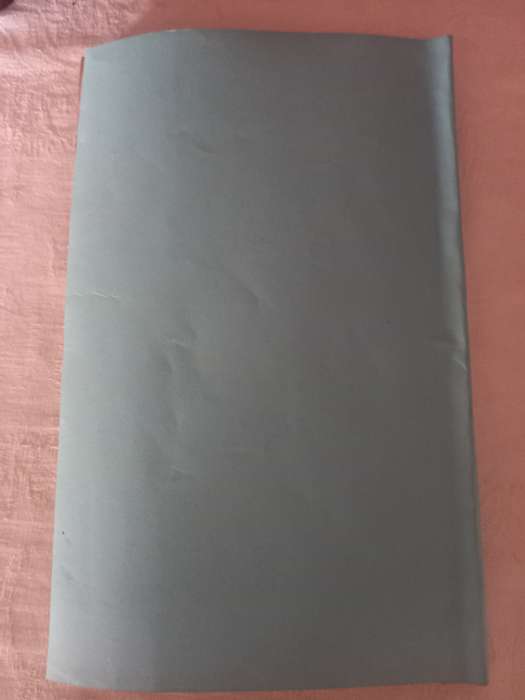 Blue-Book on Native Affairs - 1880 (scarce)