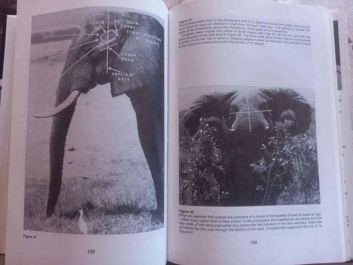 Mahohboh- Elephants and Elephant Hunting in South Central Africa, SIGNED copy
