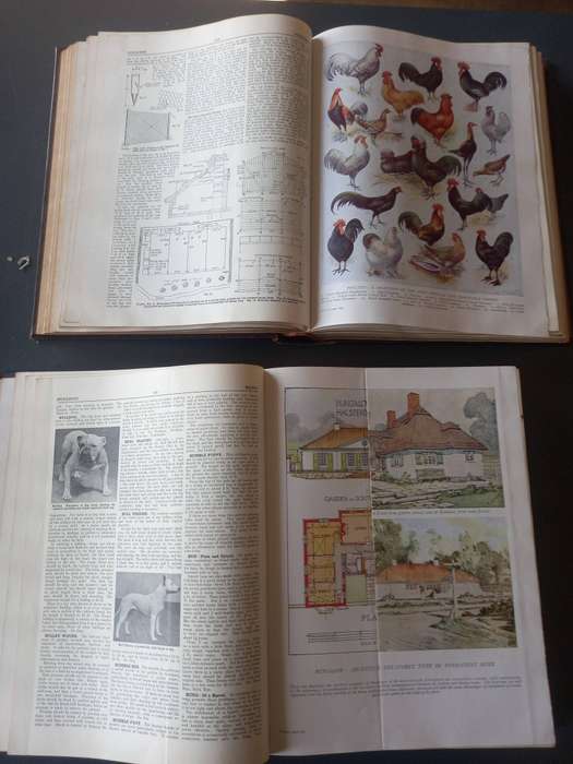 The Concise Household Encyclopedia, a practical guide to every branch of Homecraft, two volumes 1931