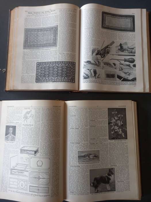 The Concise Household Encyclopedia, a practical guide to every branch of Homecraft, two volumes 1931
