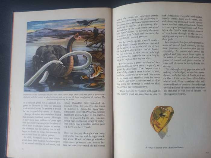Prehistoric Life on Earth