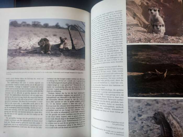 Die Namib en die Kalahari, Dorslande van Suider-Afrika
