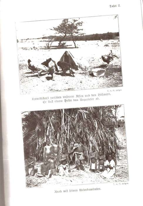 Was Afrika mir gab und nahm, Erlebnisse einer deutschen Ansiedlerfrau in Südwestafrica, (1913)