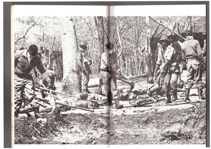 Persecution of South Africa