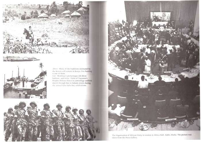 Africa Today , by Al J. Venter