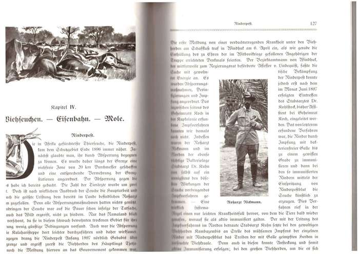 Elf Jahre Gouverneur in Deutsch-Südwestafrika (1908)