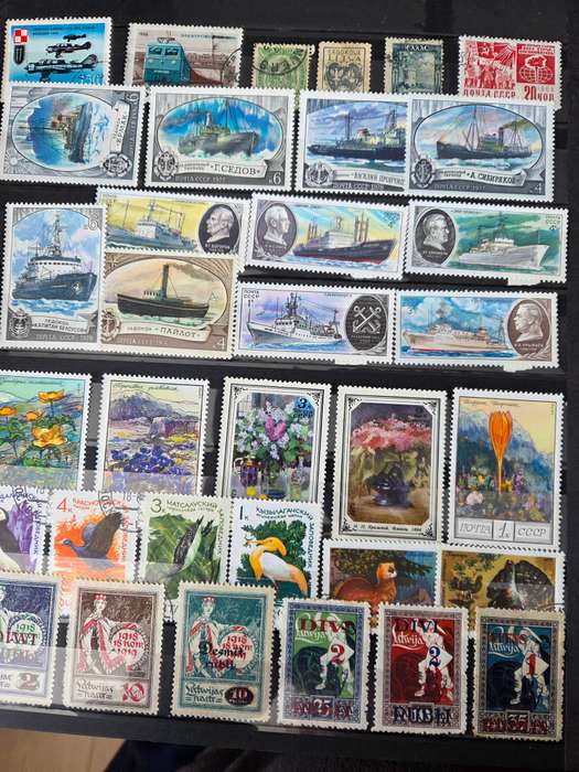 World  Collection in 6 large stock books, 5000 stamps mainly fine used