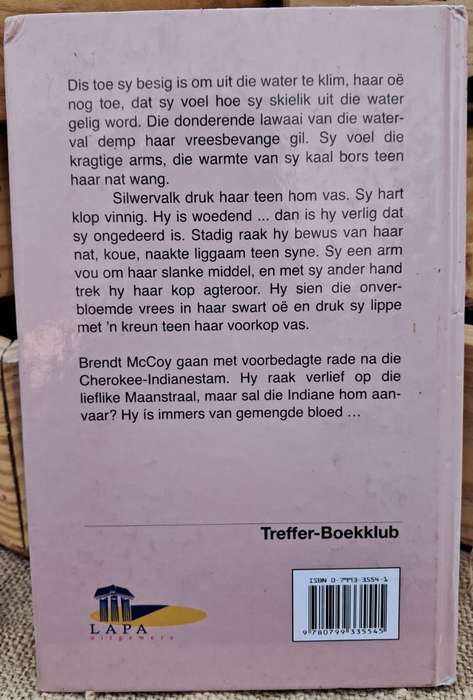 Waar die silwervalk jag - Magdaleen Viviers (2006)