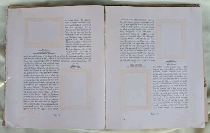 Our South African Birds/Ons Suid-Afrikaanse Voels (1941)