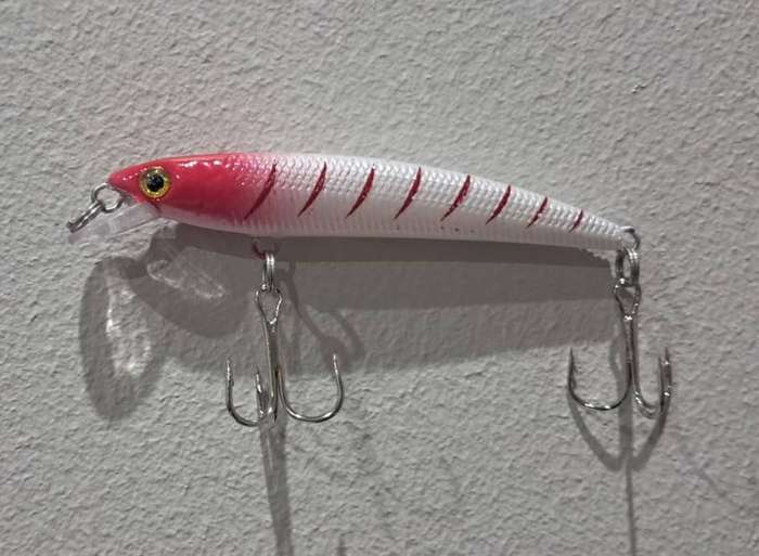 Hard Plastic Fishing Lure Rattle Jerkbait Striped Red/White Fade 5.5g