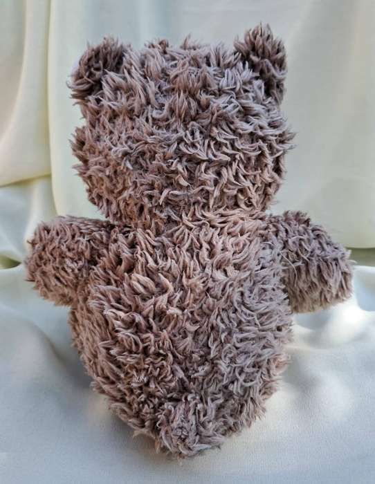 Plush Teddy Bear