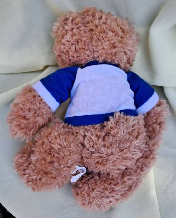 Plush Promotional Bear - Kurk Klinik Sellin