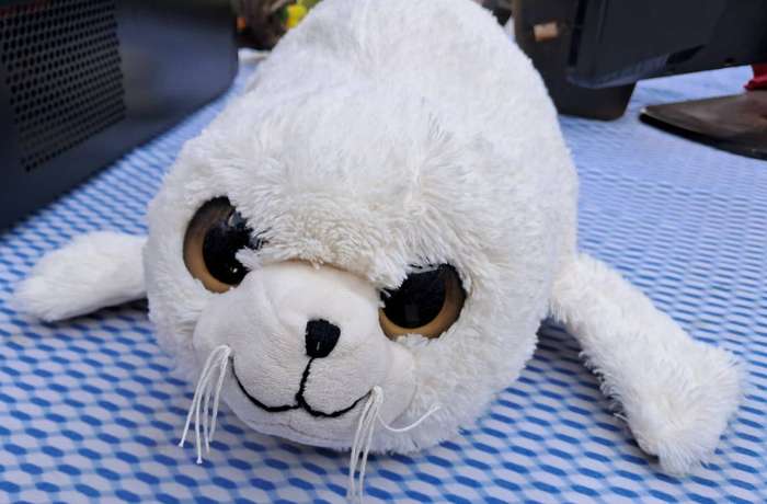 Plush White Seal