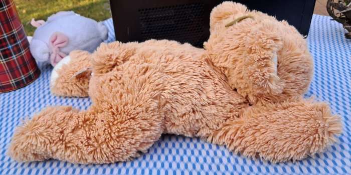 Plush Lying Teddy Bear