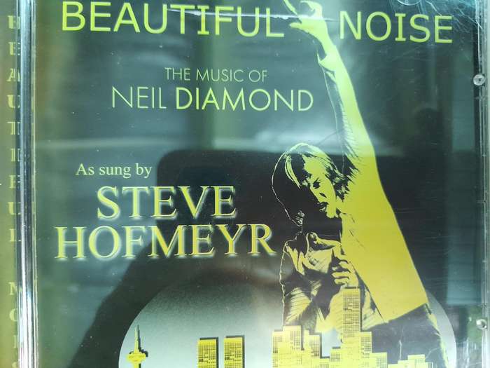 Steve Hofmeyr - Beautiful Noise