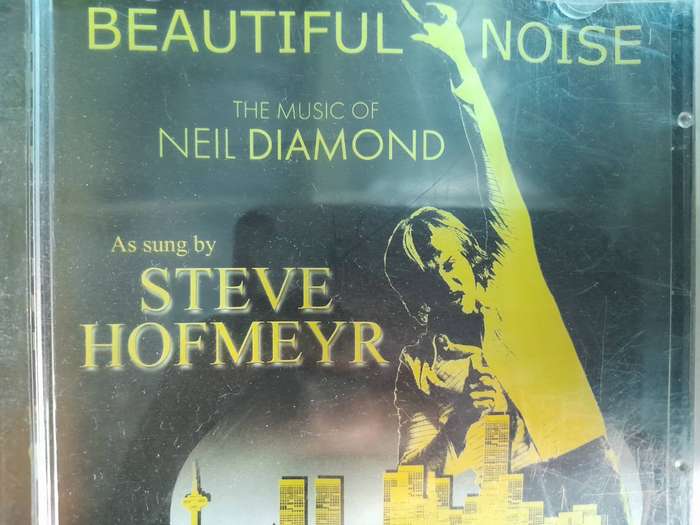 Steve Hofmeyr - Beautiful Noise
