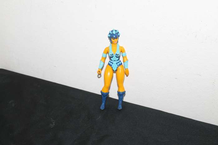Masters of the Universe Evil Lyn