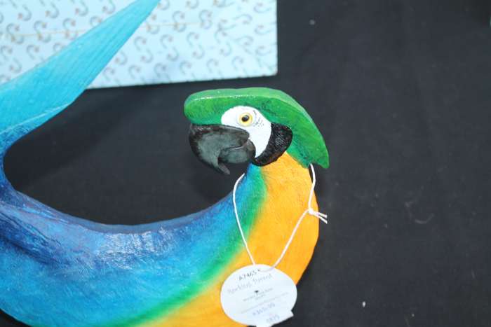 Rocking Parrot