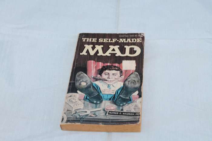 The Self Made Mad