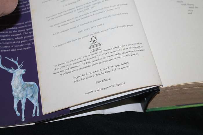 J K Rowling Harry Potter and the deadly Hallow