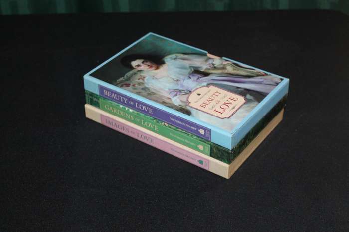 Victoria's Secret 3 books