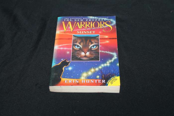 Erin Hunter Warrior Cats Sunset