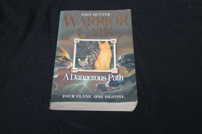 Erin Hunter Warrior A Dangerous Path
