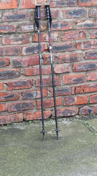 Master's JNR Ski Poles
