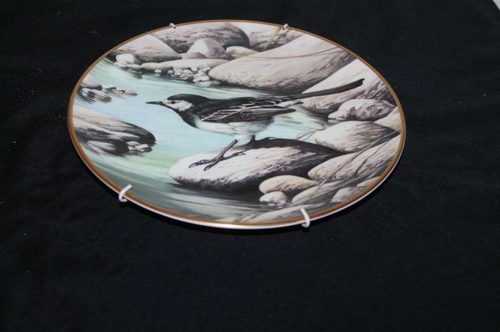 Wedgwood Centenary Plate Collection  Pied Wagtail